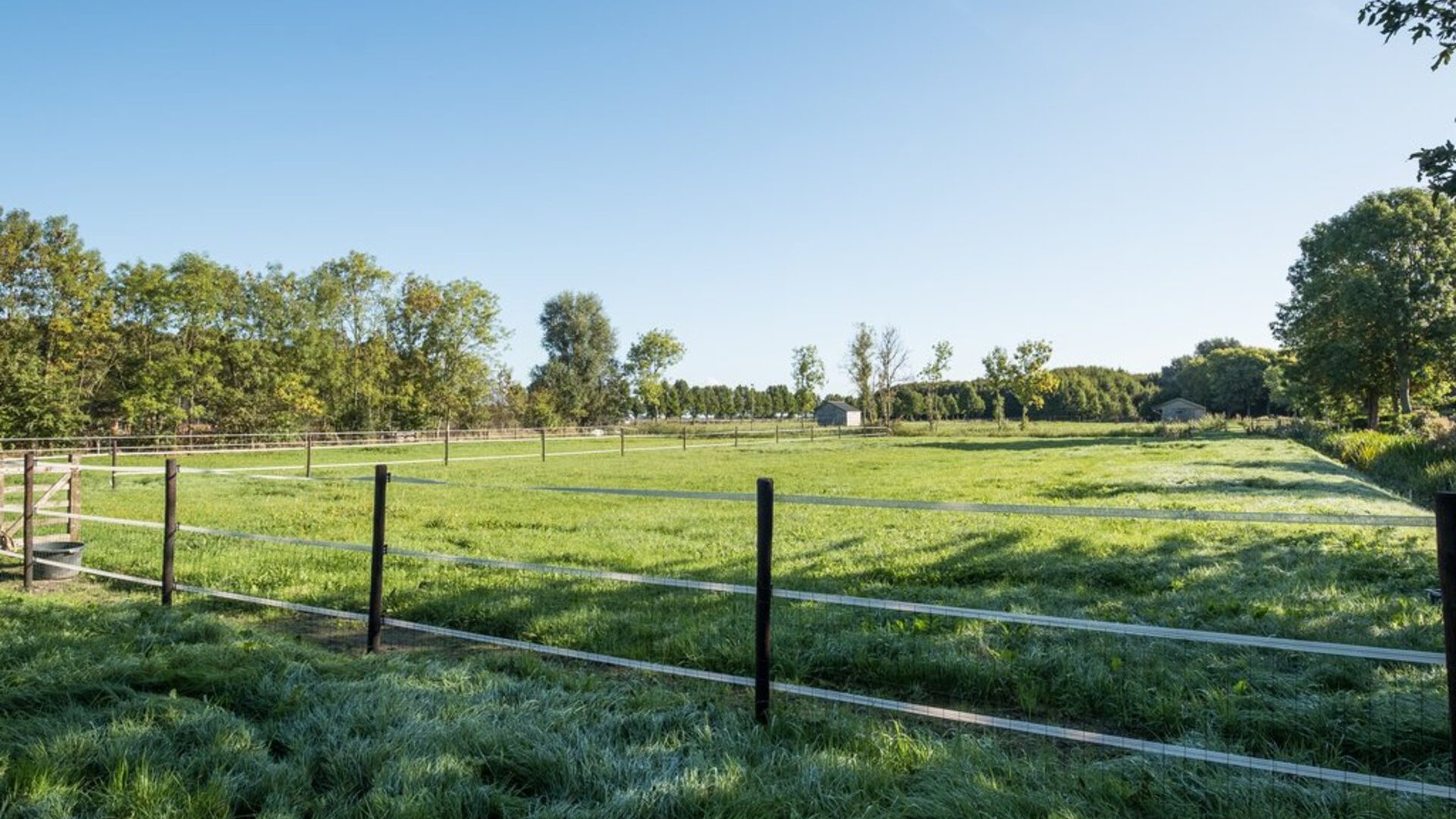 Wimpel 105 GRONINGEN