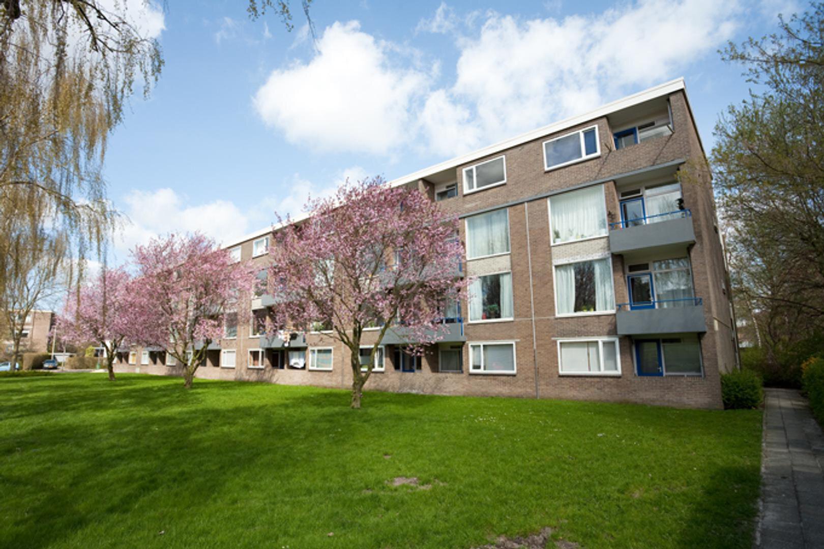 Sabotagelaan 130 GRONINGEN