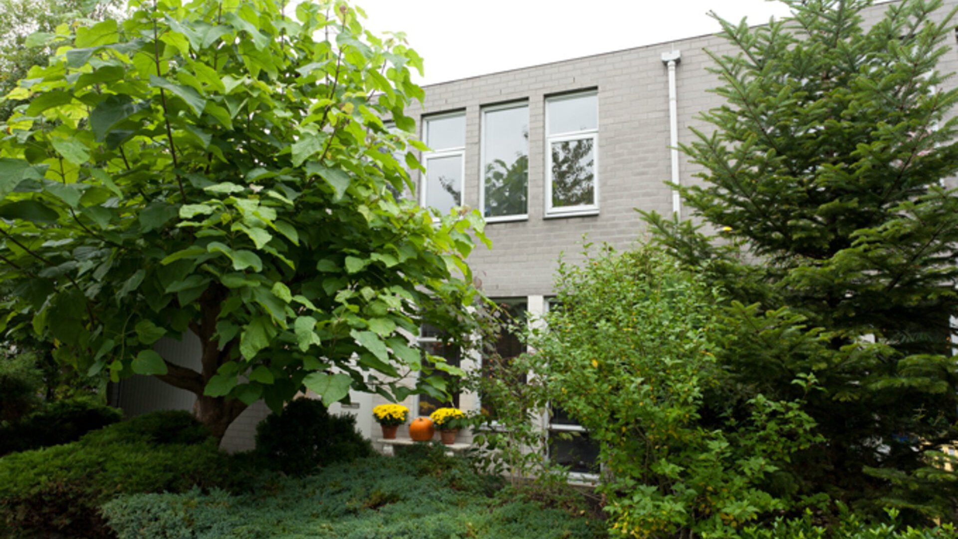 Rietveldlaan 19 GRONINGEN